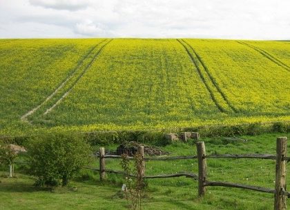 Equitable Easements in California