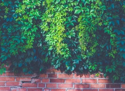 Continuing vs Permanent Trespass