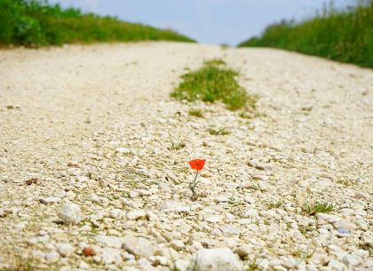 Termination of a Public Right of Way by Abandonment Via Non-Use