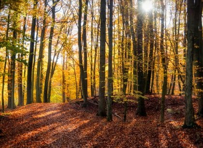 How to Add and Remove a Conservation Easement