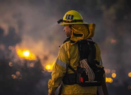 Wildfire insurance claims